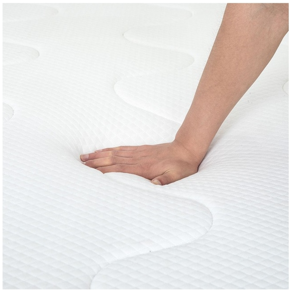 CATMINT MATTRESS  |DM910