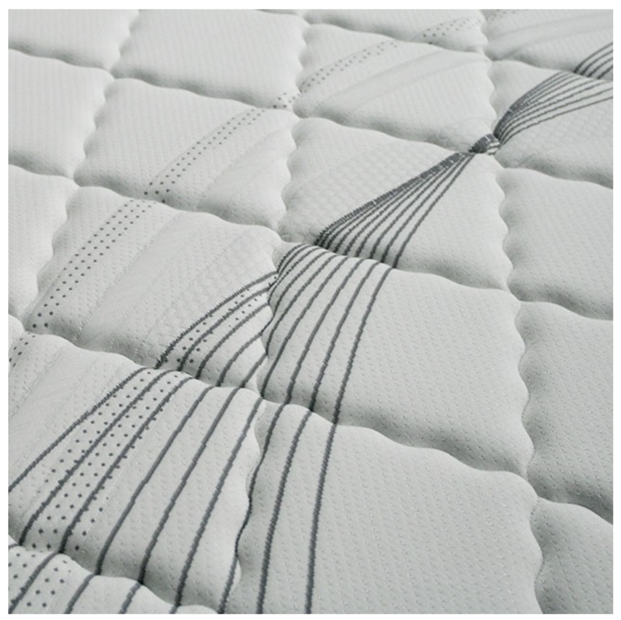 EDREA TIGHT TOP POCKET COIL | DM336